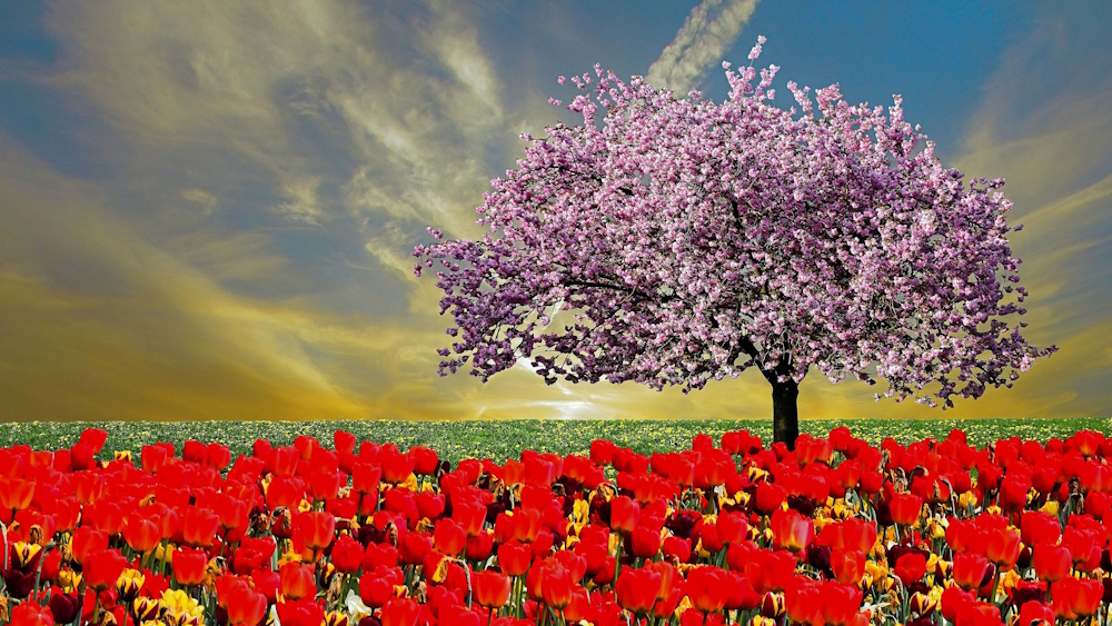 fruehling 075